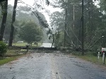 Storm damage fallen trees